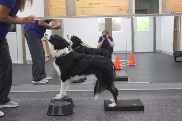 Kali-Balance-exercise--scaled (1)