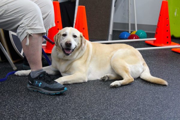 Libby--scaled (1)