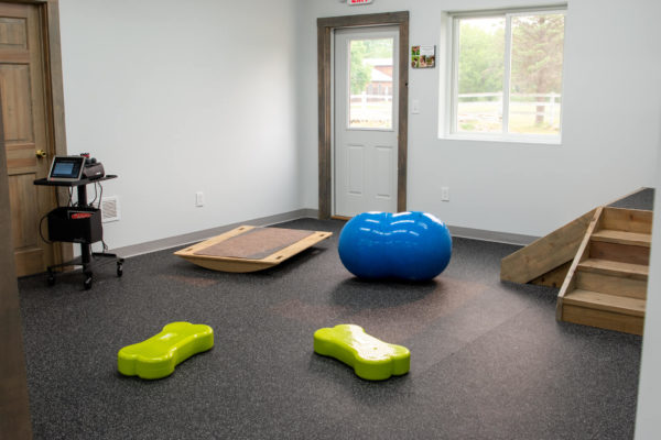 Rehab-equipment-2 (1)