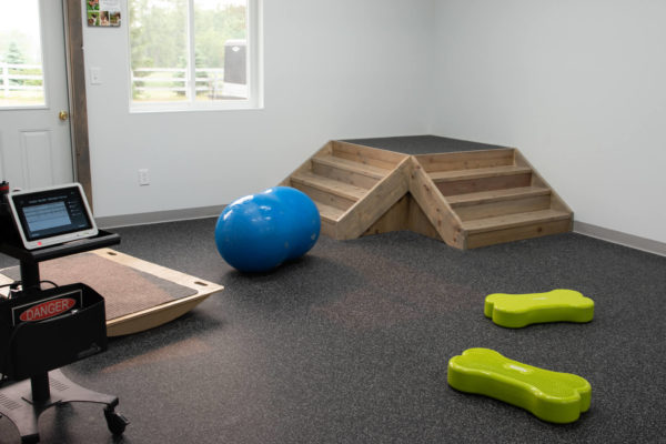 rehab-equipment (1)